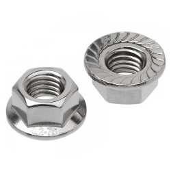 Stainless Flange Nuts
