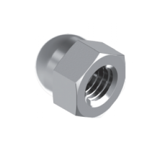 Stainless Nuts